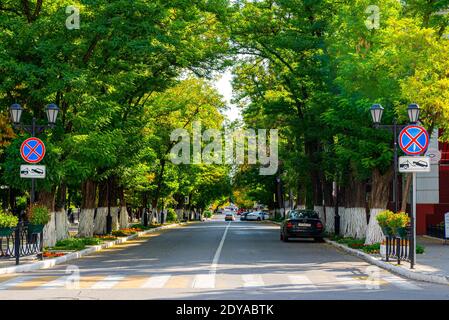 Astrachan, Russland - 06. Oktober 2019: Das Anhalten von Verkehrszeichen ist verboten. Gemütliche Straße oder Gasse. Beide Seiten sind voller Wälder und Gärten. Stockfoto