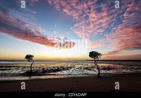 Spektakulärer Sonnenaufgang am Strand von Poona, Fraser Coast Region, Queensland, QLD, Australien Stockfoto