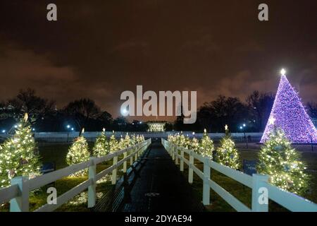 Washington, USA. Dezember 2020. Das am 24. Dezember 2020 aufgenommene Foto zeigt den National Christmas Tree und das Weiße Haus im Regen in Washington, DC, USA. Quelle: Liu Jie/Xinhua/Alamy Live News Stockfoto