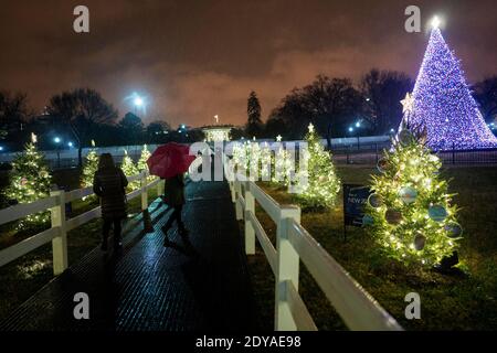 Washington, USA. Dezember 2020. Die Menschen besuchen den National Christmas Tree im Regen in der Nähe des Weißen Hauses in Washington, DC, USA, 24. Dezember 2020. Quelle: Liu Jie/Xinhua/Alamy Live News Stockfoto