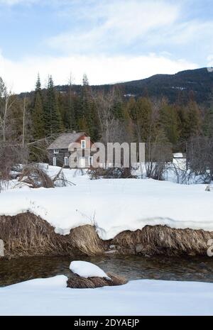 Der alte Stier Fluss Guard Station Homestead, auf der East Fork von Bull River, im Kabinett Berge, innerhalb der Kootenai National Forest, in Stockfoto