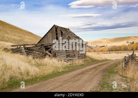 Eine verlassene Blockhütte an der Straße entlang des Smart Creek, in den John Long Mountains. Smart Creek liegt in der John Long Moutain Range in Granite County, in Stockfoto