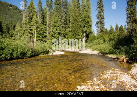 Ein freestone Abschnitt von Ross Creek, unten die Zedern, in Lincoln County, Northwest Montana. Ross Creek beginnt hoch in die Berge, Pässe thr Stockfoto