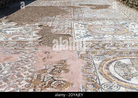 Mosaiken, Stobi, archäologische Ruinen der römischen Stadt, Mazedonien, (FYROM), Republik Nordmakedonien Stockfoto