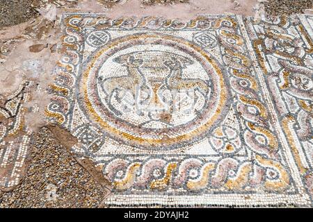 Mosaiken, Stobi, archäologische Ruinen der römischen Stadt, Mazedonien, (FYROM), Republik Nordmakedonien Stockfoto