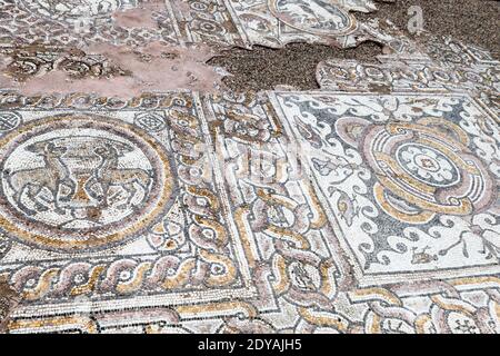 Mosaiken, Stobi, archäologische Ruinen der römischen Stadt, Mazedonien, (FYROM), Republik Nordmakedonien Stockfoto