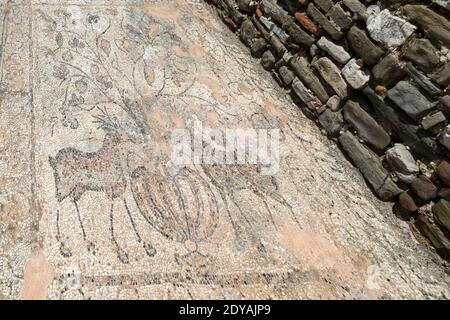 Mosaiken, Stobi, archäologische Ruinen der römischen Stadt, Mazedonien, (FYROM), Republik Nordmakedonien Stockfoto