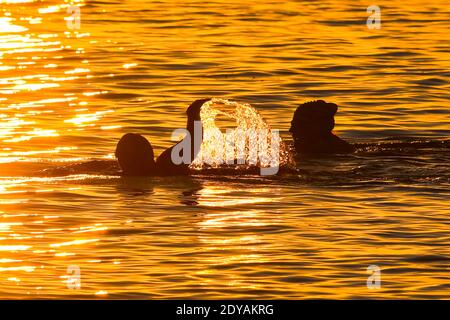 Mudeford, Dorset, Großbritannien. Dezember 2020. Wetter in Großbritannien. Die Schwimmer haben sich am Avon Beach in Mudeford in Dorset an einem kalten, klaren und sonnigen Morgen am Weihnachtstag gegen den goldenen Sonnenaufgang abgesetzt. Bild: Graham Hunt/Alamy Live News Stockfoto