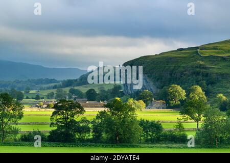 Malerisches Wharfe Valley (flache sonnendurchflutete Felder, Steinmauern, Kilnsey Crag - hohe Kalksteinfelsen, sanfte Hügel) - Wharfedale, Yorkshire Dales, England, Großbritannien. Stockfoto