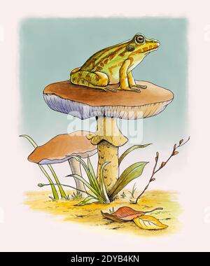 Netter Frosch, der auf einem Pilz ruht. Tinte und Aquarell Illustration. Stockfoto