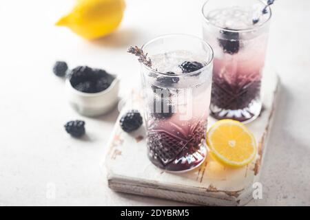 Erfrischende Blackberry Lemonade mit Eis in Kristallgläsern auf weißem Hintergrund Stockfoto