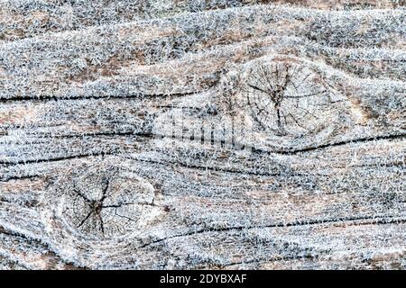 Der erste Frost auf einer gefrorenen, blassbraunen und kühlen, blauen Oberfläche aus wiedergewonnenen Kiefernholz mit alten Brettern aufgereiht. Schöner abstrakter gefrorener Mikrokosmos Stockfoto