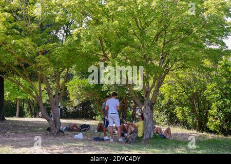 Gruppe von jungen Menschen auf der Wiese im Schatten der Bäume in einem öffentlichen Park in einem heißen Sommertag ruhen, Volterra, Pisa, Toskana, Italien Stockfoto