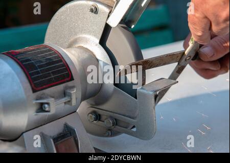 Nahaufnahme der Herrenhände Schärfen Schere auf einem elektrischen Spitzer. Reparatur von Heimwerkzeugen mit eigenen Händen. Stockfoto