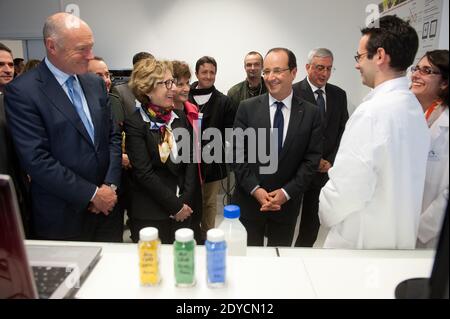 Alain Boudou, der französische Präsident Francois Hollande und der französische Juniorminister für ältere und behinderte Menschen Michele Delaunay besuchen am 10. Januar 2013 das Chemielabor "Polymeres Organiques (LCPO)" in Talence, Frankreich. Hollande war in der Region zu einem Besuch, der zukünftigen Investitionen und High-Tech-Unternehmen gewidmet war. Foto von Baptiste Fenouil/Pool/ABACAPRESS.COM Stockfoto