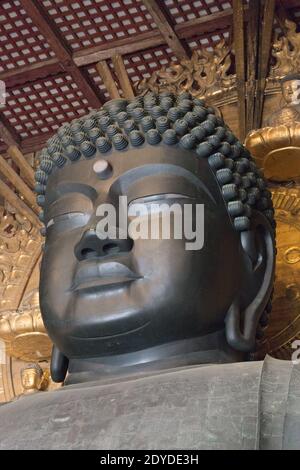 Japan Nara Detail der weltweit größten Bronzestatue des Buddha Vairocana in der Großen Buddha Halle (Daibutsuden) im Todaiji Temple Complex. Stockfoto