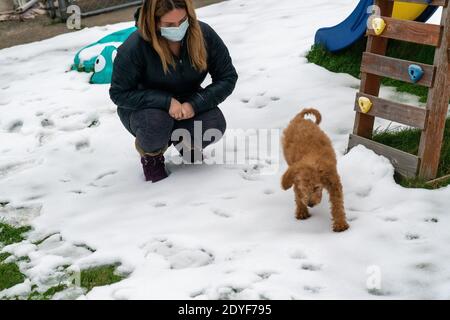 Eine Frau, die eine Covid-19 Maske trägt, sieht einem golden-doodle Welpen beim Spielen im Schnee zu. Stockfoto