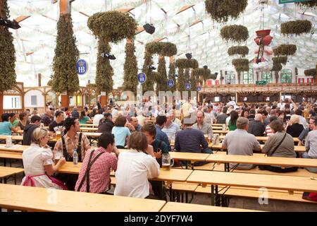 Deutschland München Nachtschwärmer auf dem Oktoberfest auf der Theresienwiese in München im Hofbrau-Zelt Stockfoto