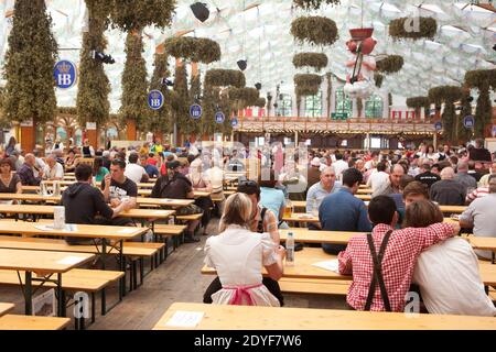 Deutschland München Nachtschwärmer auf dem Oktoberfest auf der Theresienwiese in München im Hofbrau-Zelt Stockfoto