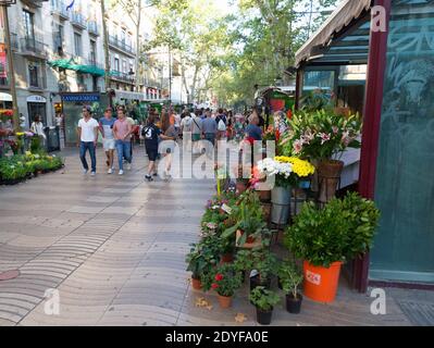 La Rambla ist eine Straße im Zentrum von Barcelona mit einer beliebten Fußgängerzone mit Blumenstand und Kiosken. Stockfoto