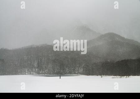 Kagami-ike Teich in Nagano Präfektur von Japan. Im Winter fällt Schnee auf die Wasseroberfläche und es ist wunderschön. Stockfoto