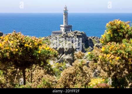 Malpica, Spanien. Der Leuchtturm in Punta Nariga, einer landschaftlich reizvollen Landzunge an der Costa da Morte (Todesküste) in Galizien Stockfoto