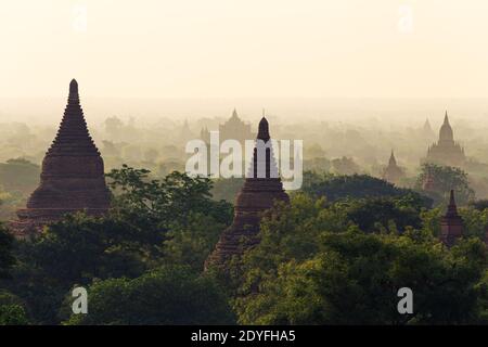 Tempel in Bagan, Myanmar bei Sonnenaufgang Stockfoto