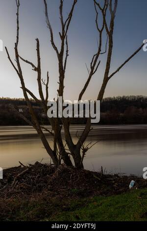 Fluten der Maas im Winter im Nationalpark Eijsder Beemden bei Maastricht, die wunderbare Reflexe der Bäume gibt Stockfoto