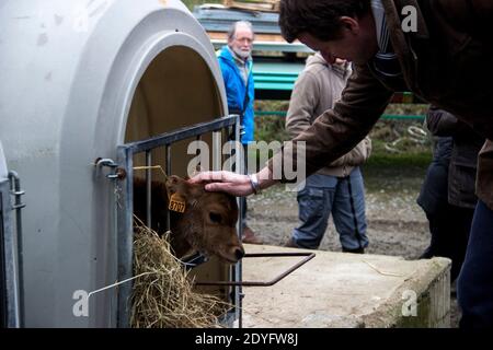 Yannick Jadot Reise in die Bretagne zum Thema der landwirtschaftlichen Transition. Der Kandidat Europe Ecologie Les Verts (EELV) bei der Präsidentschaftswahl Stockfoto