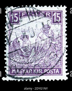 MOSKAU, RUSSLAND - 19. JULI 2019: Briefmarke gedruckt in Ungarn zeigt Reaper, Serie, um 1916 Stockfoto