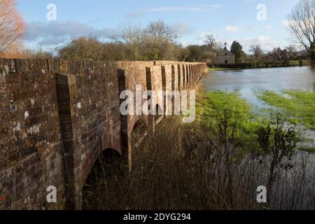 Flutung des Flusses Avon am Damm Heath's Causeway, Kellaways, Wiltshire, England, Großbritannien 24/12/20 Stockfoto