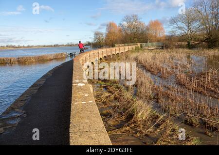 Flutung des Flusses Avon am Damm Heath's Causeway, Kellaways, Wiltshire, England, Großbritannien 24/12/20 Stockfoto