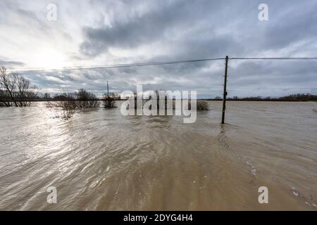 Sutton Gault Cambridgeshire, Großbritannien. Dezember 2020. Der Fluss Great Ouse hat es Ufer auf der New und Old Bedford Ebenen nach den jüngsten starken regen, die Überschwemmungen entlang der Ouse Valley verursacht hat platzen. Die alten und neuen Bedford-Ebene Drainage-Kanäle sind die wichtigsten Drainage-System für die Fens und East Anglia Wasser in die Wash und Nordsee in Norfolk. Straßen sind gesperrt, der Wasserstand ist hoch und es wird mehr Starkregen vorhergesagt. Kredit: Julian Eales/Alamy Live Nachrichten Stockfoto