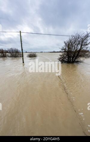 Sutton Gault Cambridgeshire, Großbritannien. Dezember 2020. Der Fluss Great Ouse hat es Ufer auf der New und Old Bedford Ebenen nach den jüngsten starken regen, die Überschwemmungen entlang der Ouse Valley verursacht hat platzen. Die alten und neuen Bedford-Ebene Drainage-Kanäle sind die wichtigsten Drainage-System für die Fens und East Anglia Wasser in die Wash und Nordsee in Norfolk. Straßen sind gesperrt, der Wasserstand ist hoch und es wird mehr Starkregen vorhergesagt. Kredit: Julian Eales/Alamy Live Nachrichten Stockfoto