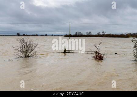 Sutton Gault Cambridgeshire, Großbritannien. Dezember 2020. Der Fluss Great Ouse hat es Ufer auf der New und Old Bedford Ebenen nach den jüngsten starken regen, die Überschwemmungen entlang der Ouse Valley verursacht hat platzen. Die alten und neuen Bedford-Ebene Drainage-Kanäle sind die wichtigsten Drainage-System für die Fens und East Anglia Wasser in die Wash und Nordsee in Norfolk. Straßen sind gesperrt, der Wasserstand ist hoch und es wird mehr Starkregen vorhergesagt. Kredit: Julian Eales/Alamy Live Nachrichten Stockfoto