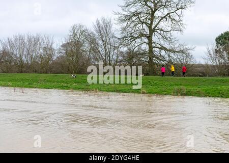 Sutton Gault Cambridgeshire, Großbritannien. Dezember 2020. Der Fluss Great Ouse hat es Ufer auf der New und Old Bedford Ebenen nach den jüngsten starken regen, die Überschwemmungen entlang der Ouse Valley verursacht hat platzen. Die alten und neuen Bedford-Ebene Drainage-Kanäle sind die wichtigsten Drainage-System für die Fens und East Anglia Wasser in die Wash und Nordsee in Norfolk. Straßen sind gesperrt, der Wasserstand ist hoch und es wird mehr Starkregen vorhergesagt. Kredit: Julian Eales/Alamy Live Nachrichten Stockfoto