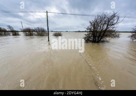 Sutton Gault Cambridgeshire, Großbritannien. Dezember 2020. Der Fluss Great Ouse hat es Ufer auf der New und Old Bedford Ebenen nach den jüngsten starken regen, die Überschwemmungen entlang der Ouse Valley verursacht hat platzen. Die alten und neuen Bedford-Ebene Drainage-Kanäle sind die wichtigsten Drainage-System für die Fens und East Anglia Wasser in die Wash und Nordsee in Norfolk. Straßen sind gesperrt, der Wasserstand ist hoch und es wird mehr Starkregen vorhergesagt. Kredit: Julian Eales/Alamy Live Nachrichten Stockfoto