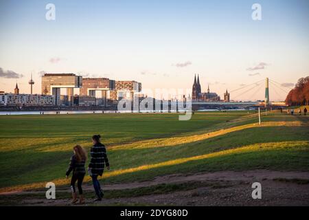 Rheinauen im Stadtteil Deutz, die Kranichhäuser im Rheinauer Hafen, im Hintergrund der Dom, Köln, Deutschland. Die Rheinwi Stockfoto