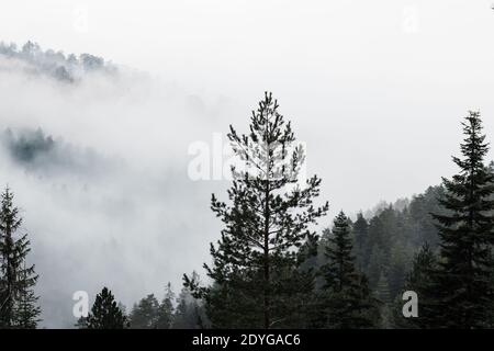 Neblige Bergkette am frühen Morgen Stockfoto