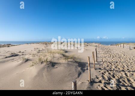 Le Porge, in der Nähe von Lacanau in Medoc, Frankreich. Zugang zum Strand Stockfoto