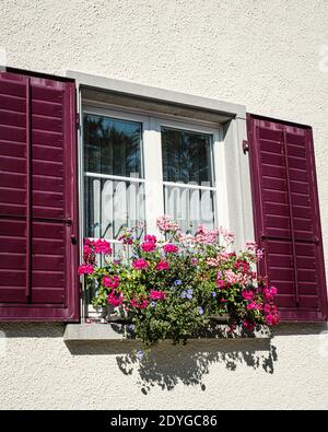 Rustikales Fenster mit roten Fensterläden und Blumentöpfen, Schweiz. Stockfoto