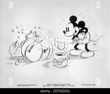 WALT DISNEYS MICKEY MAUS in MICKYS GARTEN 1935 Regisseur WILFRED JACKSON Walt Disney Productions / United Artists Stockfoto