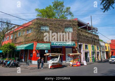 Historische Gebäude an der Avenida Francisco Sosa Avenue und dem Parque Centenario im historischen Zentrum von Coyoacan, Mexico City CDMX, Mexiko. Stockfoto