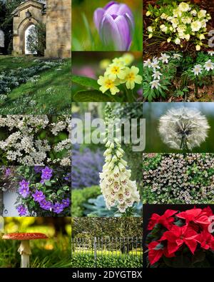 Loblied für eine wunderbare Welt Stockfoto