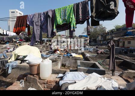 Mumbai Indien Kleiderständer und Waschmaschinen, oder dhobis arbeiten im Dhobi Ghat. Stockfoto