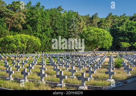 Stare Lysogorki, Polen, Juni 2019 Reihen von Gräbern auf dem Militärfriedhof für gefallene Soldaten der 1. Polnischen Armee Stockfoto