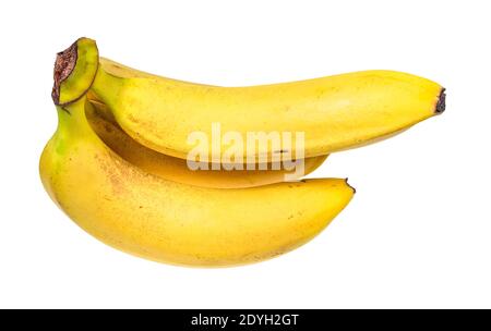 Bündel von reifen gelben Bananen auf weißem Hintergrund ausgeschnitten Stockfoto