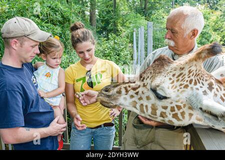 Alabama Birmingham, Zoo Giraffe Fütterung Familie, Eltern Kind Mutter Vater Mädchen Tochter Tier Handler Trainer, Stockfoto