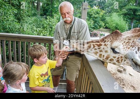 Alabama Birmingham, Zoo Giraffen Zunge füttern, junge Mädchen Mann Tier Handler Trainer, Stockfoto