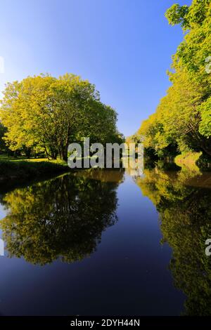 Sommer, Fluss Nene, Wansford Dorf, Cambridgeshire, England; Großbritannien; Großbritannien Stockfoto